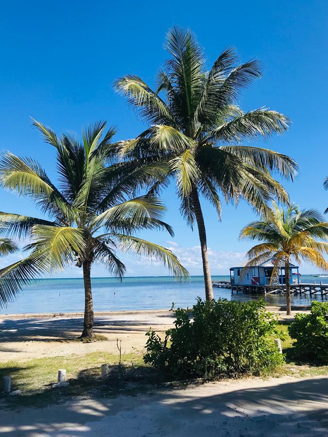 San Pedro Ambergris Caye Belize