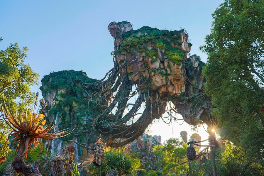 Pandora in Disney's Animal Kingdom