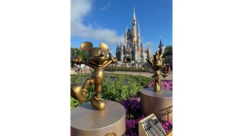 Walt Disney World Family Vacations