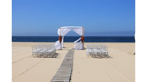 DW Table Setting