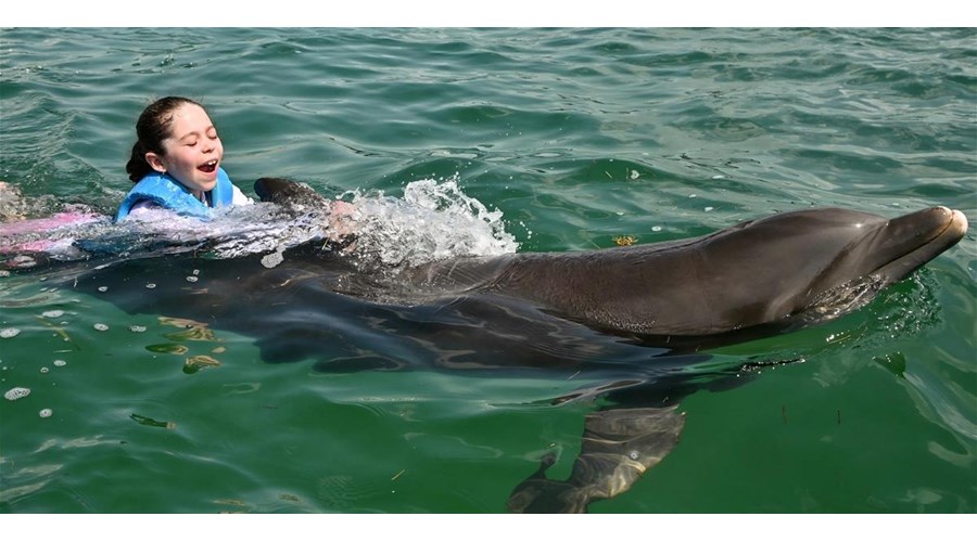 7 Days Family Trip to Dreams Playa Mujeres 