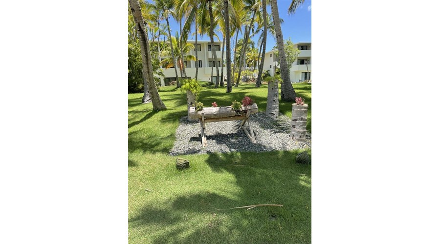 NYC to DR: 7-Night Tropical Escape