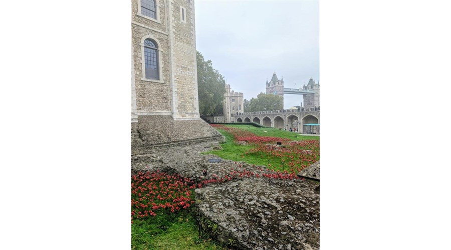 5-Day Family-Friendly London Itinerary