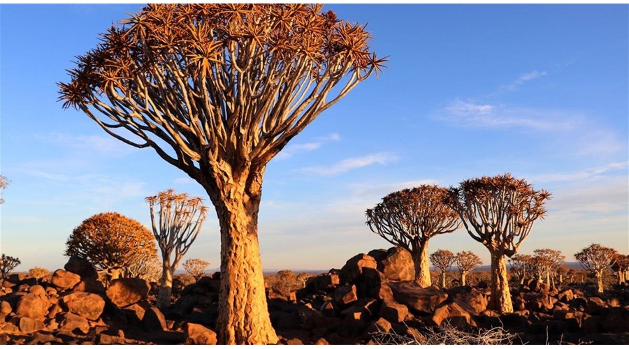 3 Weeks Namibia and South Africa Adventure