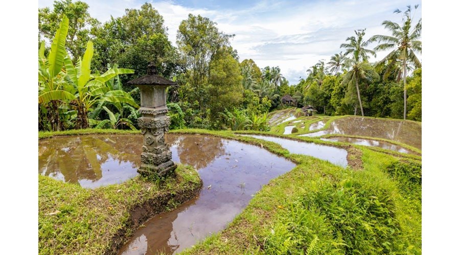 Bali & Komodo: Island Discovery