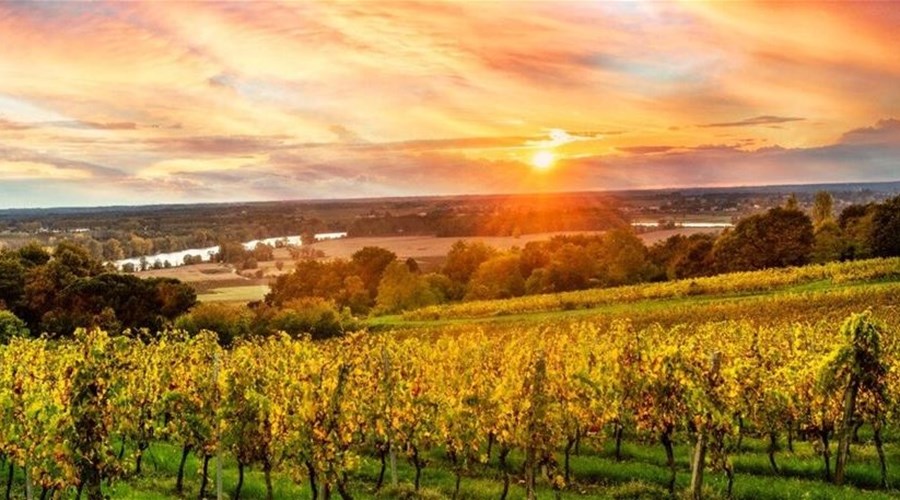 Taste of Bordeaux with Ama