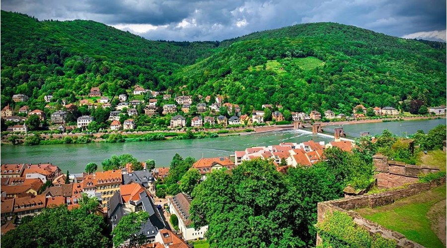 Swiss Alps & Rhine Castles