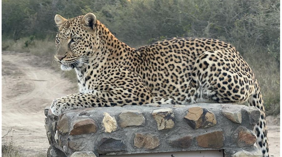 A Typical South African Adventure