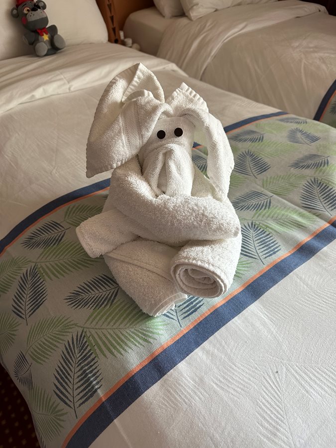 Towel Animals on the Carnival Dream