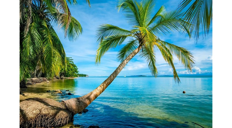 Panama Signature Private Expedition