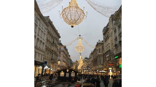 Enchanting Christmas Markets in Vienna!