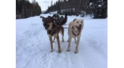 Adventures in the Canadian Rockies 