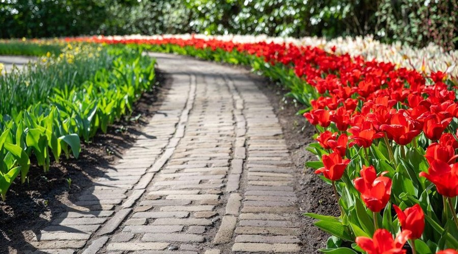 Tulip Time - Dutch and Belgium Waterways