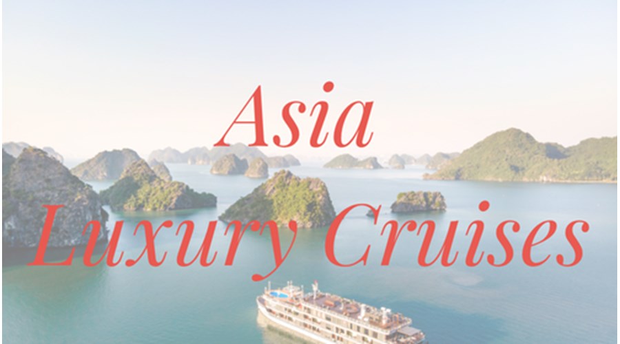 A Journey of Dynamic Discovery & Beachside Bliss