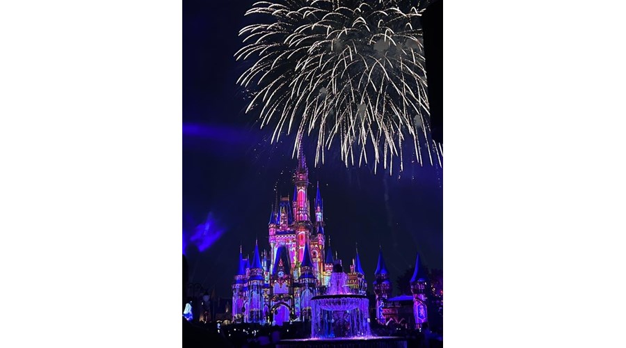 One Family, Five Ways to Disney