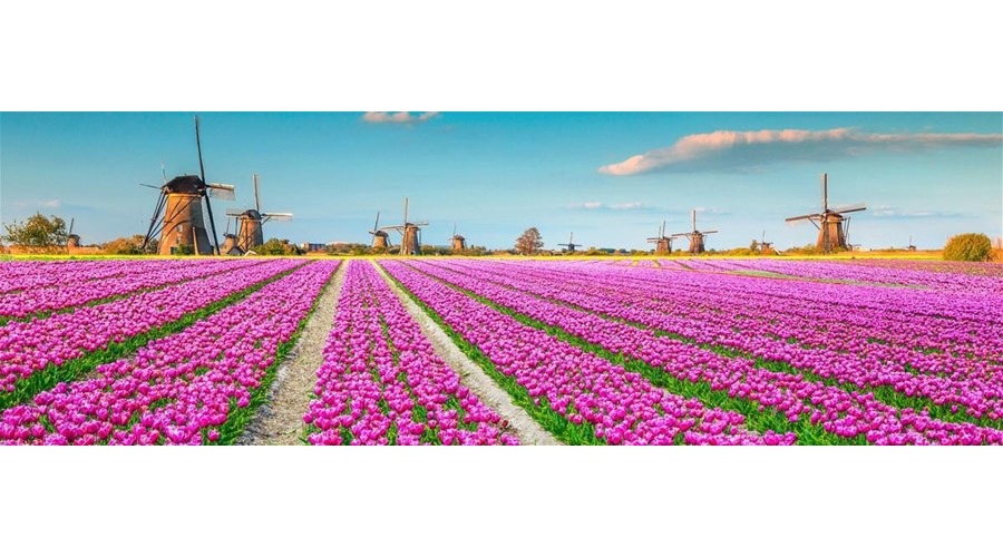 Tulip Time on Avalon Waterways 8-day 