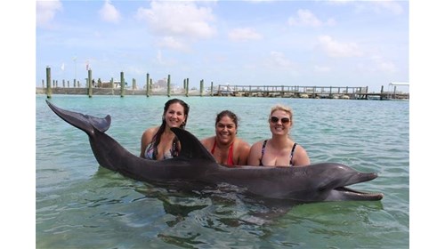 Girls Cruise - holding dolphin in Bahamas