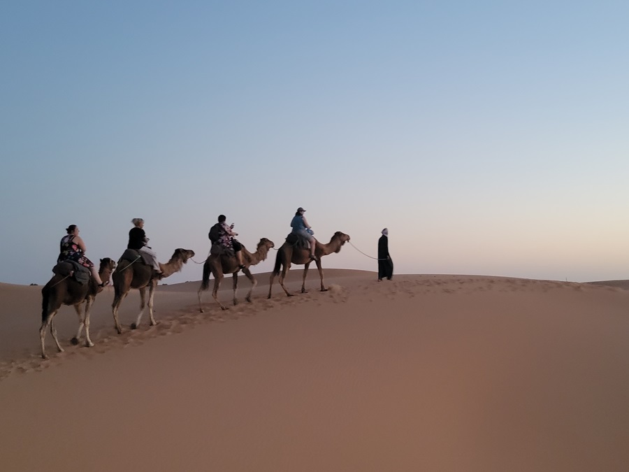Sunset Camel ride in thr Sahara Desert
