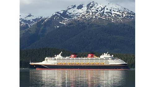 CRUISE EXPERT