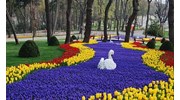 Holland, Kuekenhof Gardens beautiful flowers