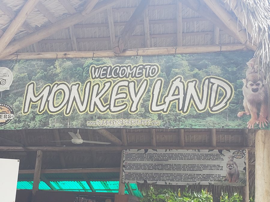Monkeyland