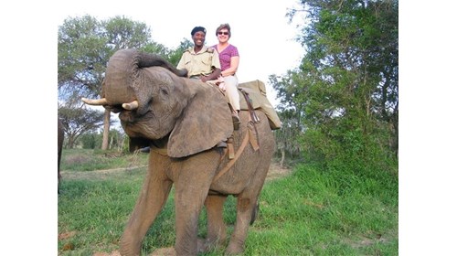 South Africa, my favorite elephant, Jumbalani