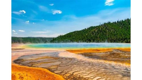 YELLOWSTONE NATIONAL PARK TRAVEL AGENT
