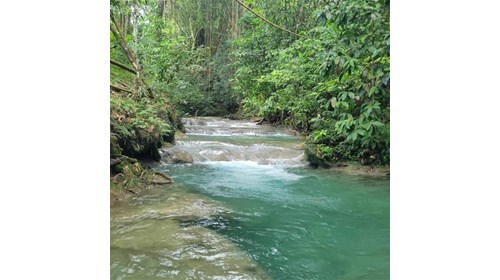 Mayfield Falls, Jamaica 