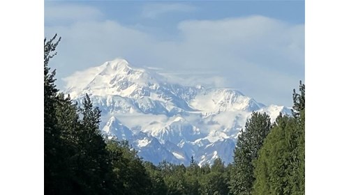 Mt Denali (Mt McKinley) seen from Trapper Creek