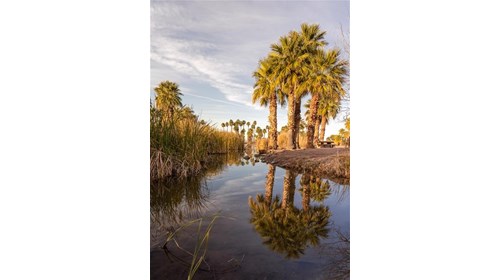 Papago Park
