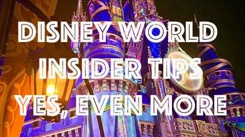 Disney World Insider Tips, Even More