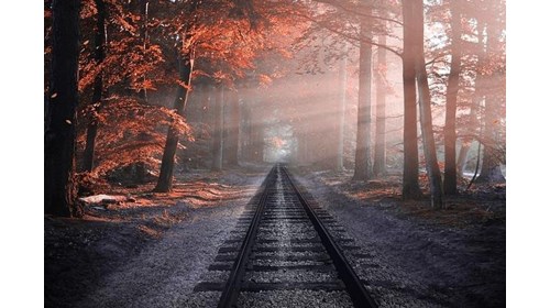 Railway - Nature