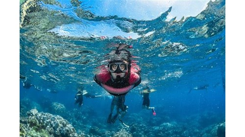 Snorkeling in the Great Barrier Reef (Australia)