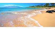 The beautiful beaches of Maui