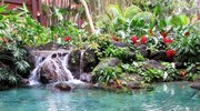 Beautiful Polynesian Resort
