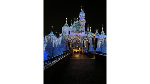 Disneyland at Christmastime!