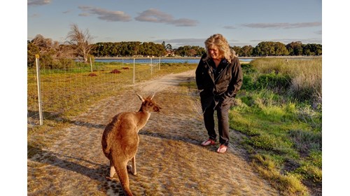 Perth Australia, hanging with the Kangaroos so fun