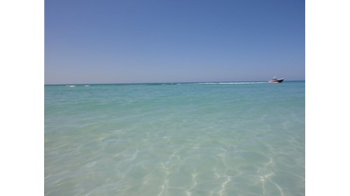 Crystal Clear Waters of the Gulf of Mexico