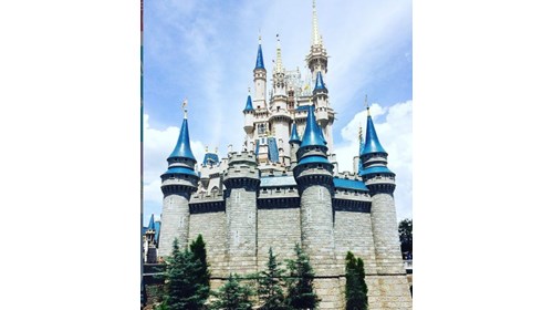 Disney World Castle 