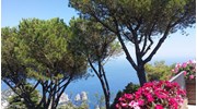 View from the top of Capri, sigh....