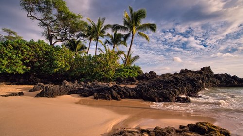 Maui Beach - Maui, Hawaii 