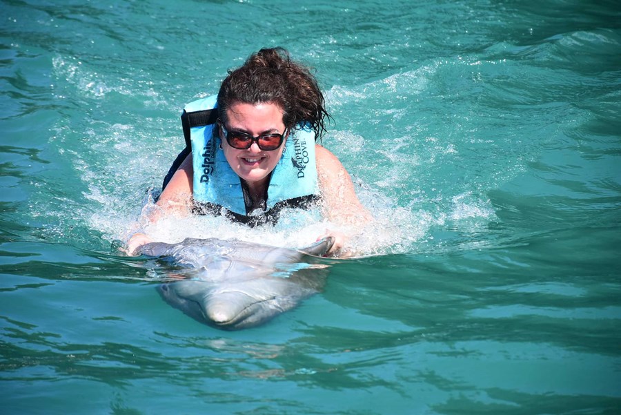 Love Dolphins in Jamaica