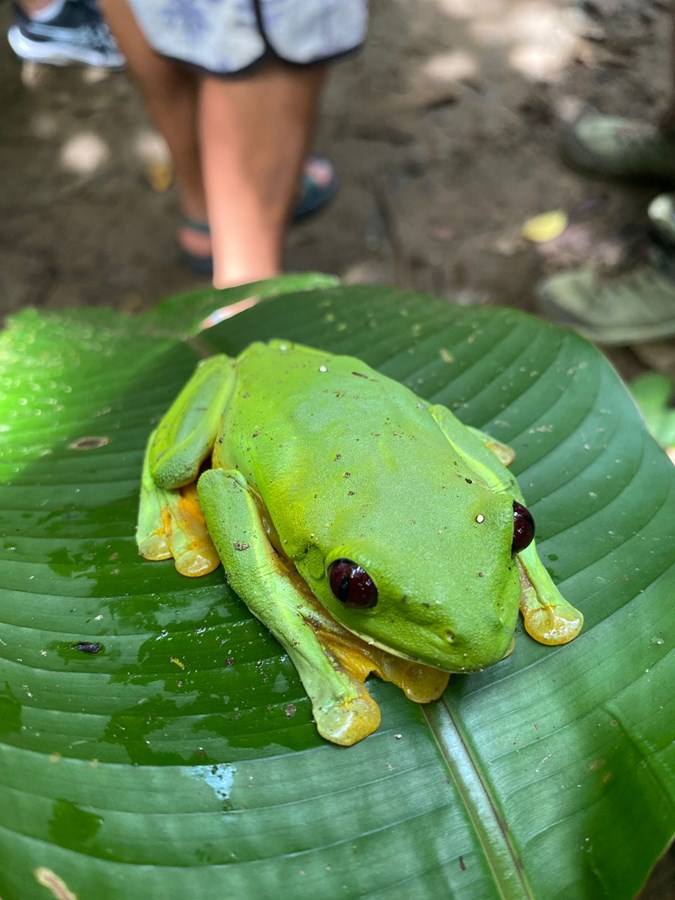 Costa Rica is the best for nature lovers