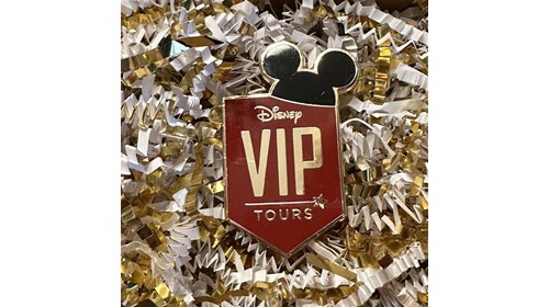 Disney VIP Tour with Mom Approved Travel