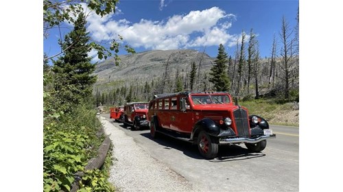 Ride through Glacier National Park in Red Jammers.