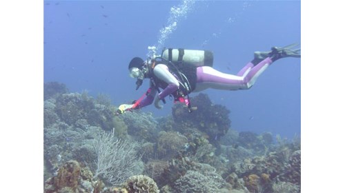 Scuba Diving vacations
