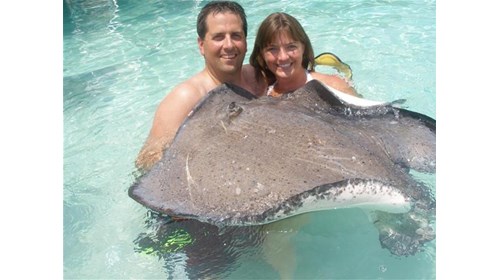 Swimming with Stingrays in Grand Cayman!