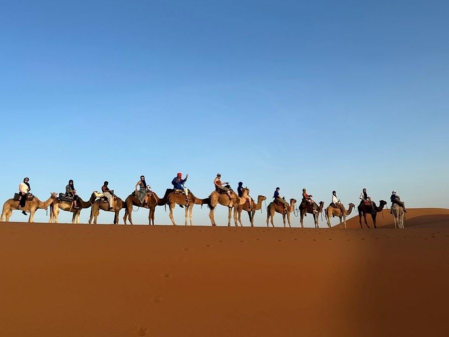 Riding camels through the desert 