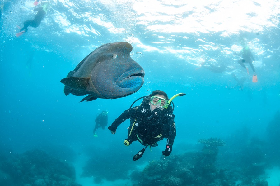 Scuba diving on the Great Barrier Reef