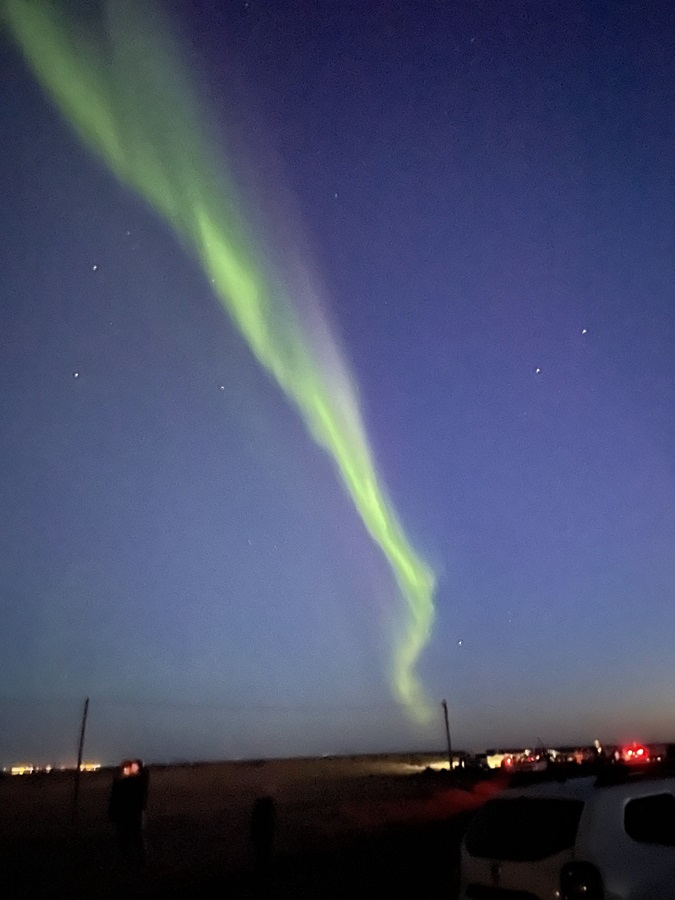 Reykjavik-Northern Lights